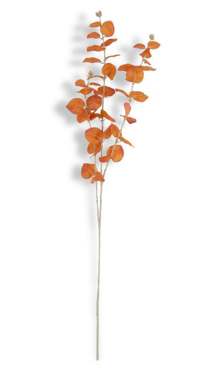 Orange Eucalyptus Spray