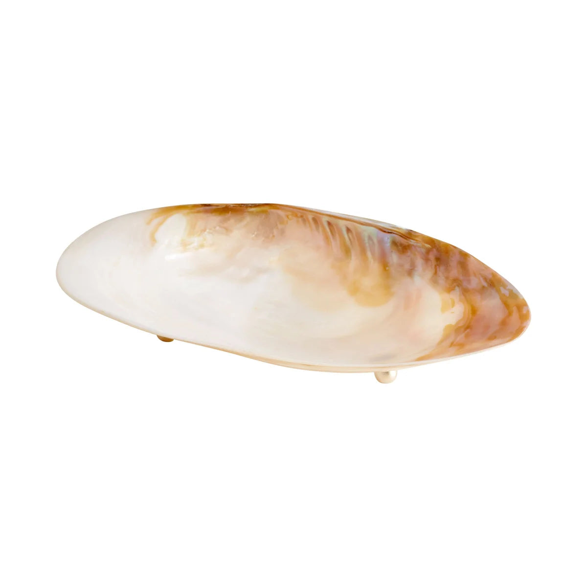 Large Shell Tray