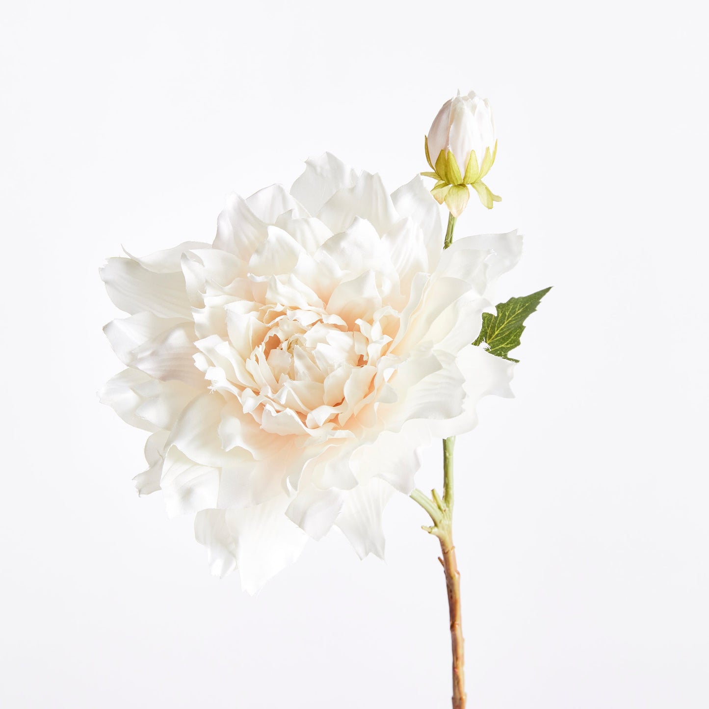 Dahlia Stem 21.5" Cream