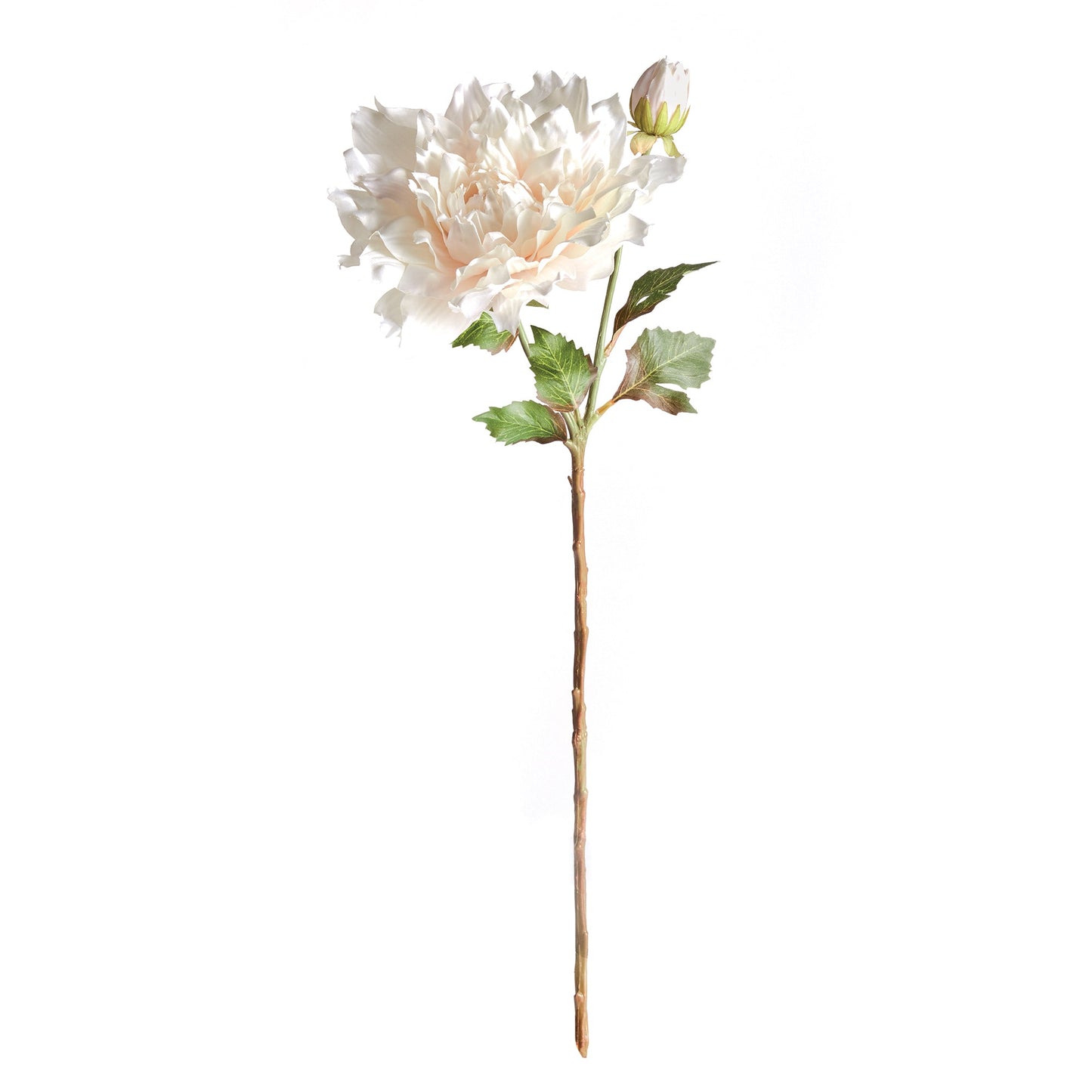 Dahlia Stem 21.5" Cream
