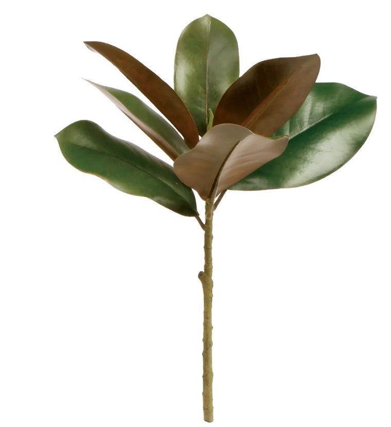 Grand Magnolia Pick