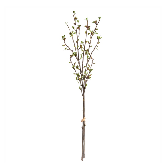 42" Budding Branches