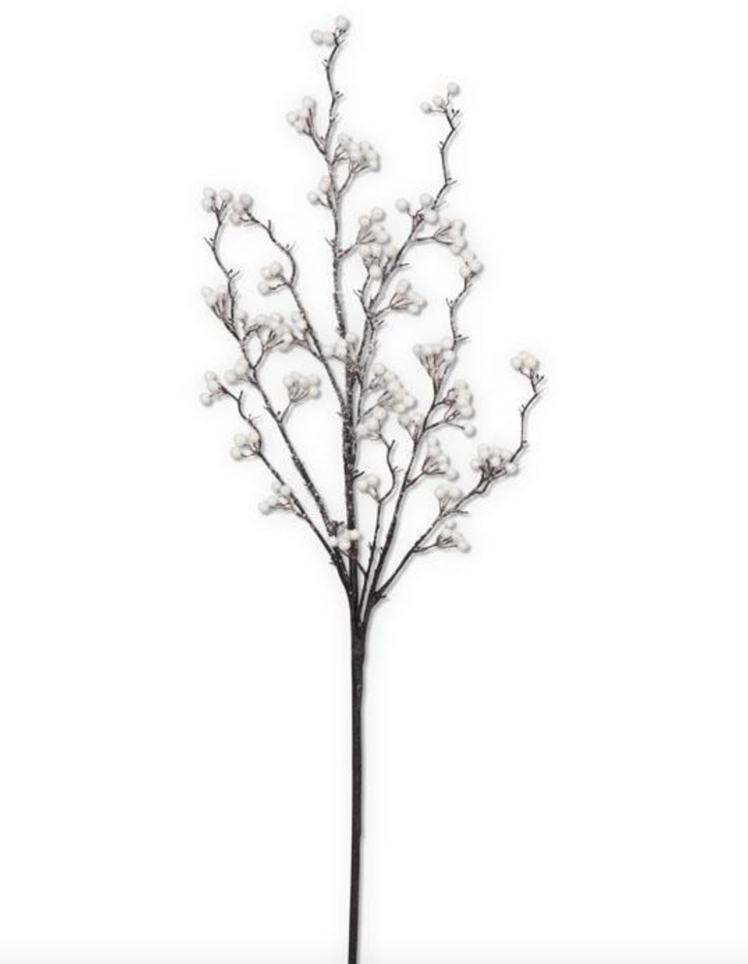 Iced White Berry Branch