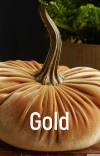 Velvet Pumpkin - Small