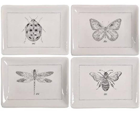 Insect Dish