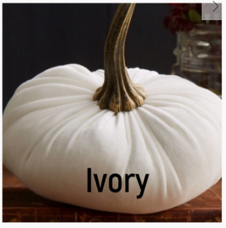 Velvet Pumpkin - Extra Large