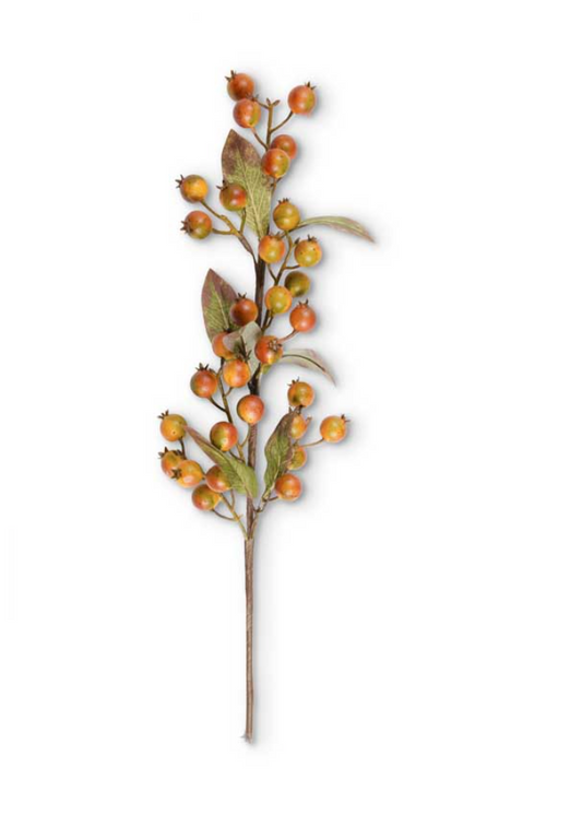 Rosehip Stem