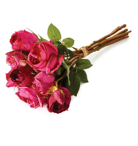 Garden Roses