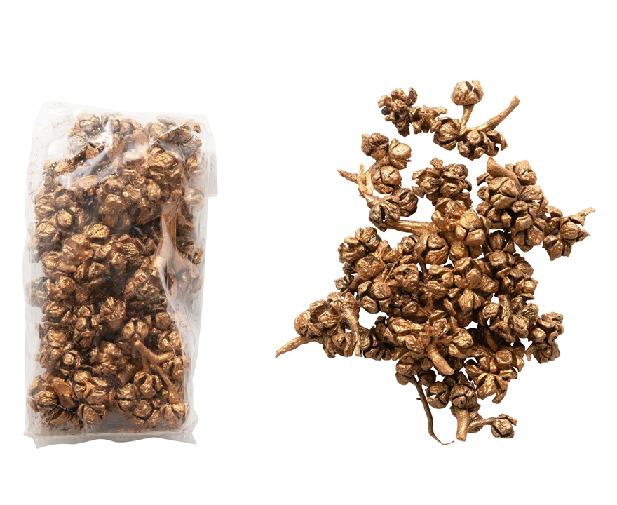 Dried Cyprus Pods