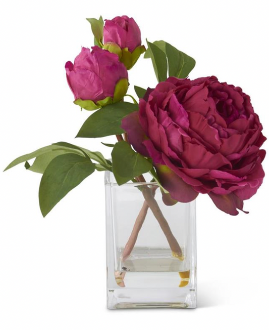 Peony in Glass Vase