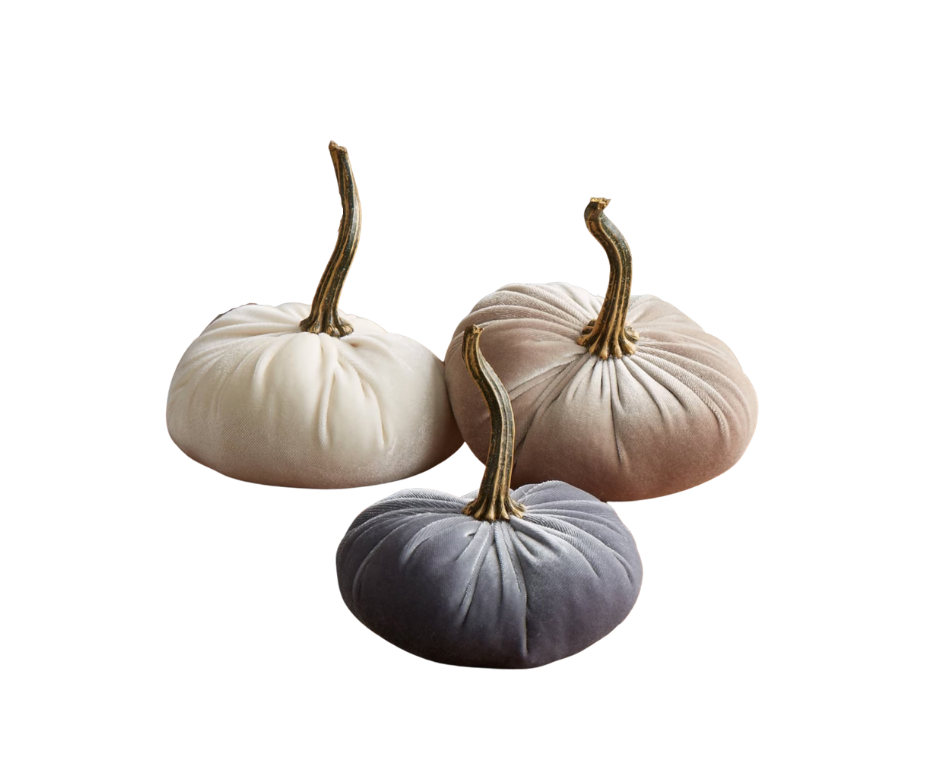 Velvet Pumpkin - Small