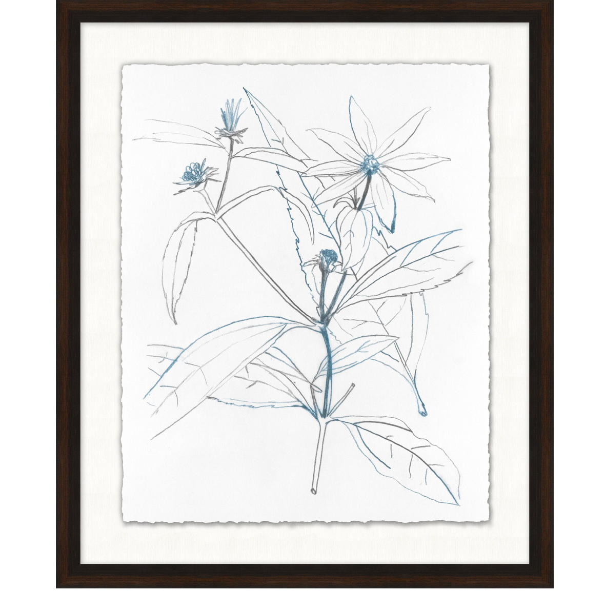 Nature Sketch