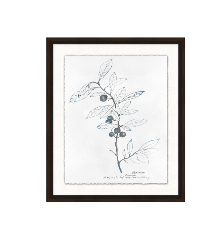 Nature Sketch