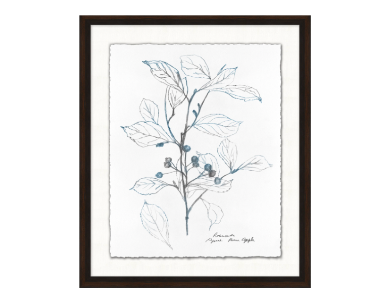 Nature Sketch