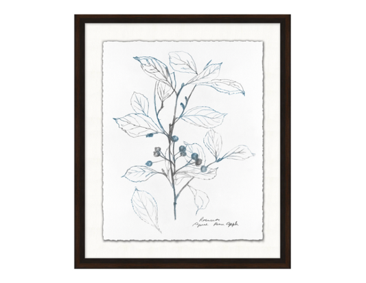 Nature Sketch