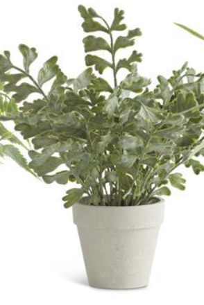 Real Touch Fern