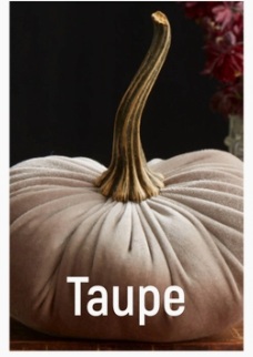Velvet Pumpkin - Extra Large